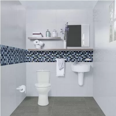 Sanitario Aquapro Redondo Blanco Corona